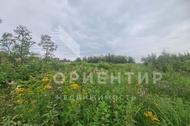 Екатеринбург городской округ, Чкаловский фото