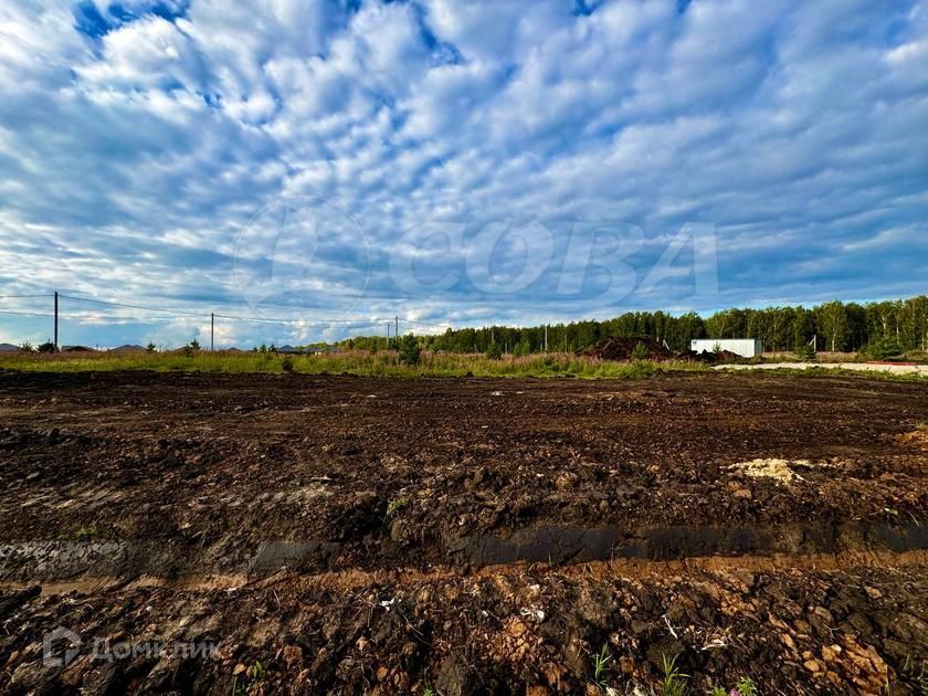 земля р-н Тюменский деревня Елань фото 6