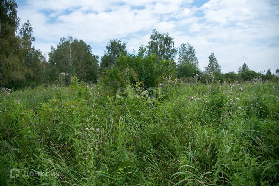 земля г Искитим городской округ Искитим, садовое товарищество Зелёный Бор фото 5