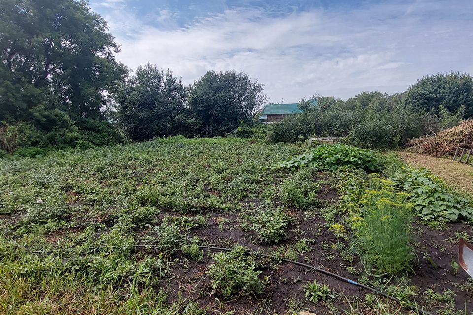 дом г Заринск ул Кооперативная городской округ Заринск фото 7