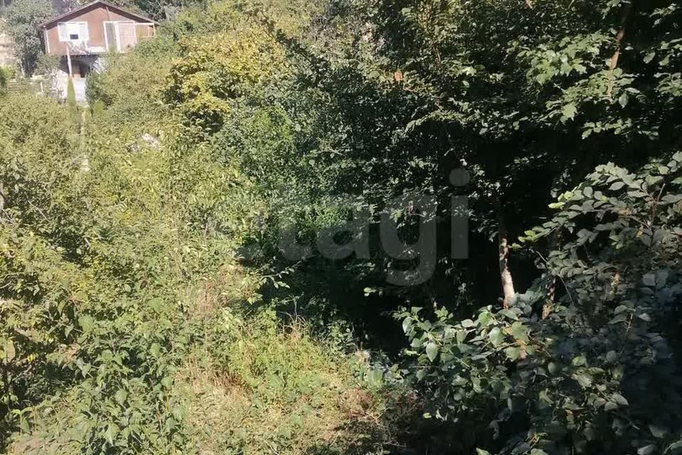 земля г Севастополь снт Родничок фото 9