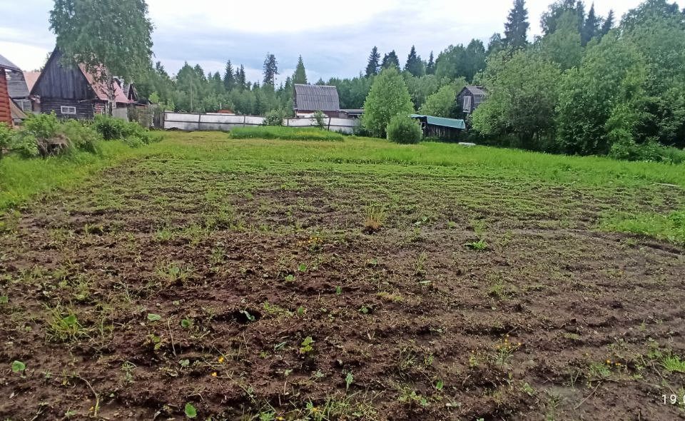 земля городской округ Сыктывкар, территория Эжвинский, СНТ Алёнушка фото 5