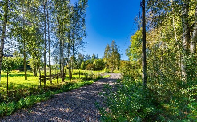 земля Старый Петергоф р-н Петродворцовый фото