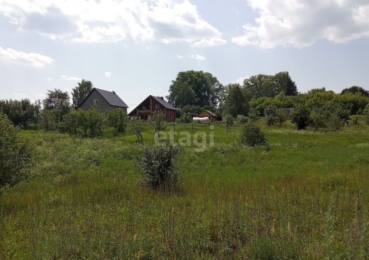 дом р-н Бирский с Симкино Старопетровский сельсовет, Бирск фото 19