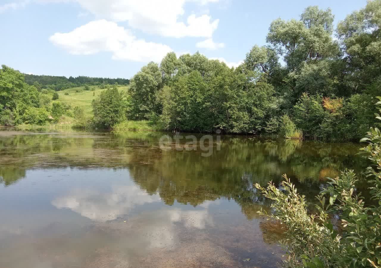 дом р-н Бирский с Симкино Старопетровский сельсовет, Бирск фото 15