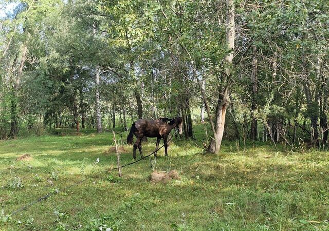 ул Горького Криводановский сельсовет, Новосибирск фото