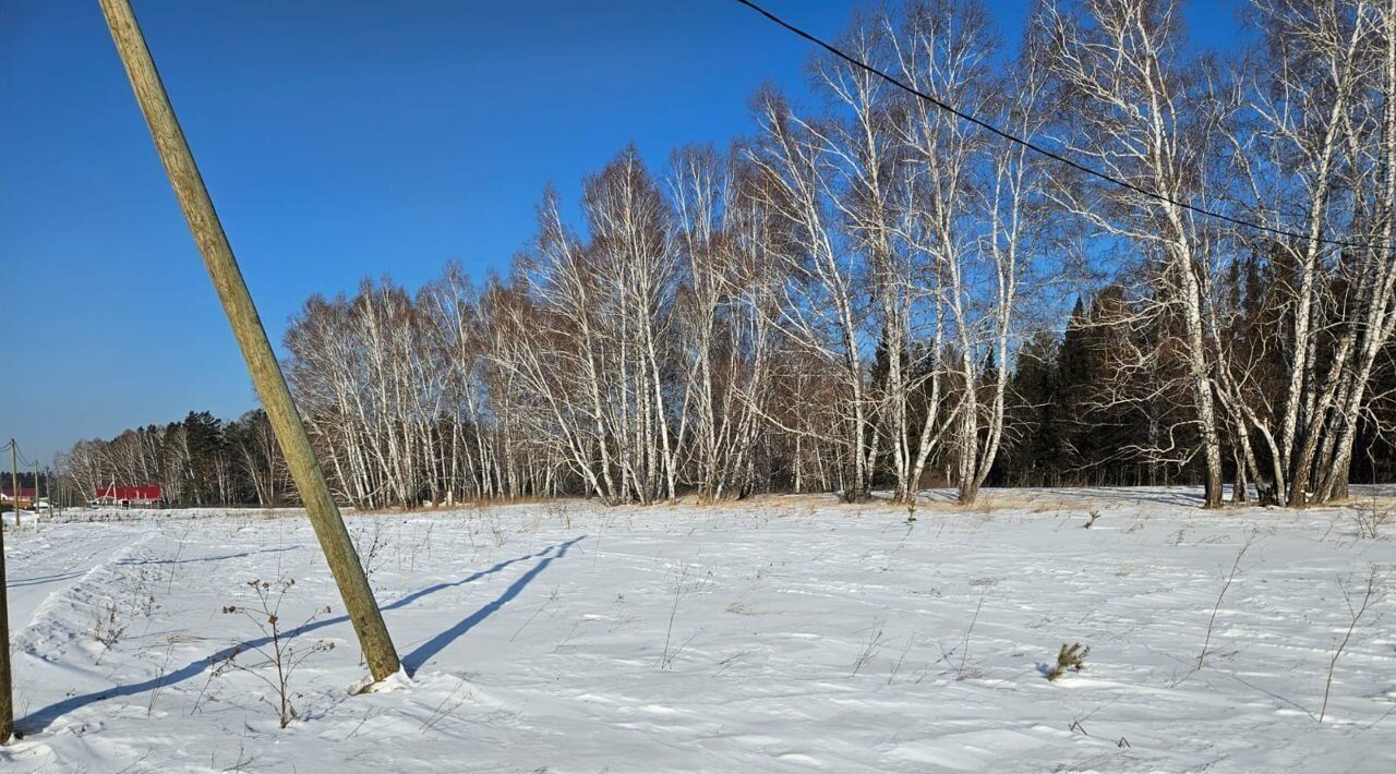 земля р-н Емельяновский д Сухая Емельяново городское поселение фото 2