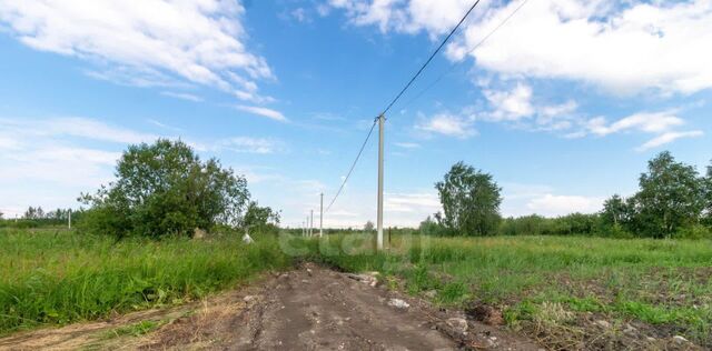 р-н Центральный снт Поле чудес-2 ул Ягодная 2-я фото