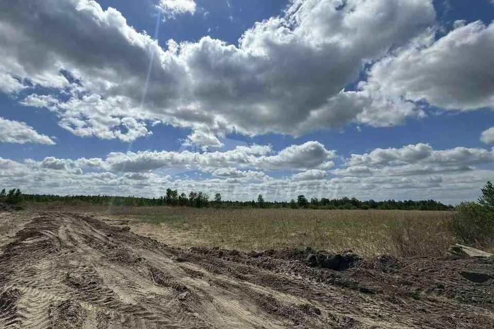 земля г Тюмень мкр Лесной городской округ Тюмень, массив Верхний Бор фото 1