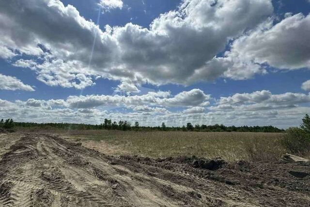 городской округ Тюмень, массив Верхний Бор фото