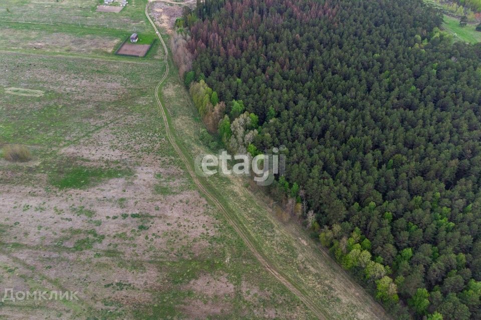 земля р-н Тюменский село Салаирка фото 3