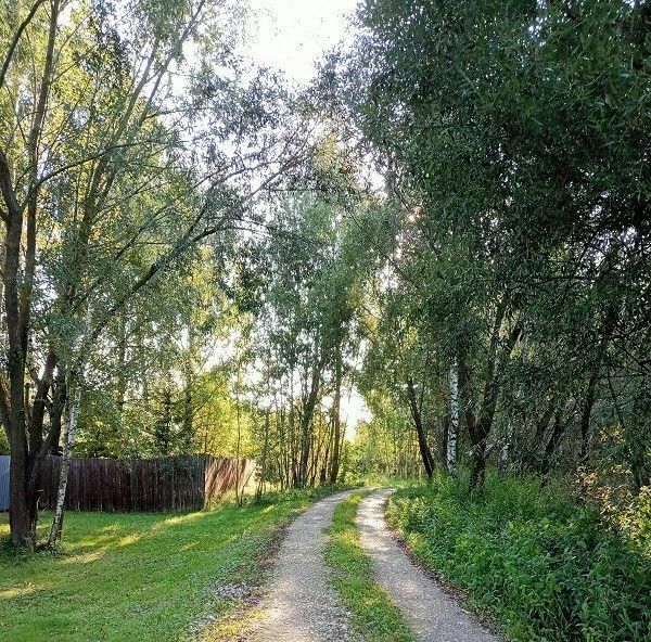 земля городской округ Воскресенск д Расловлево ул Центральная Ипподром фото 4