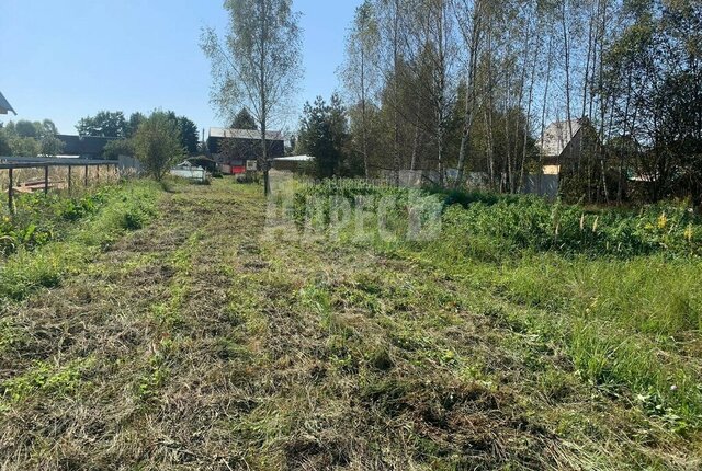 сельское поселение Совхоз Боровский фото