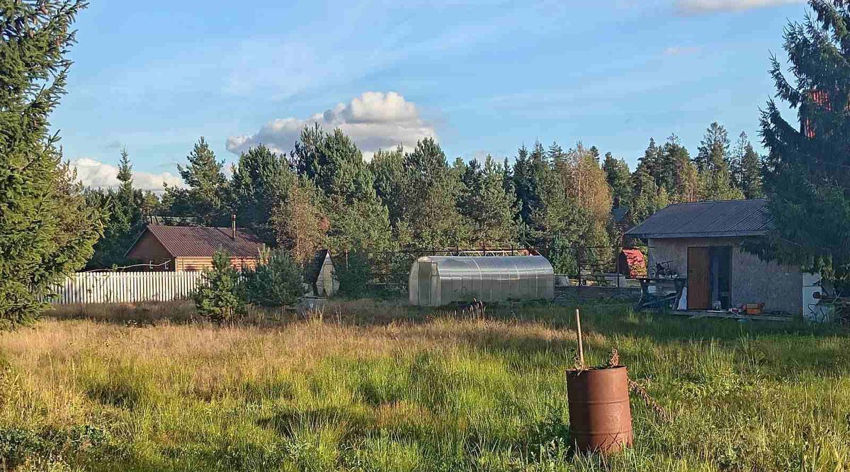 земля р-н Всеволожский д тер 5 км севернееМатокса снт Авлога 1 Куйвозовское с/пос фото 4