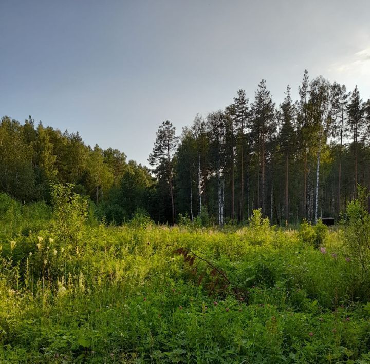 земля г Ревда с Кунгурка ул Малахитовая фото 3