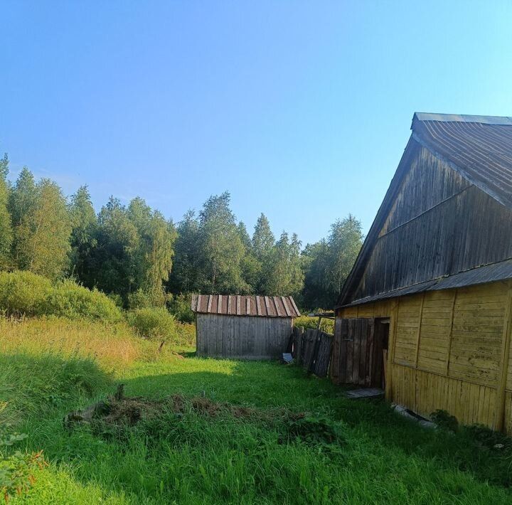 земля р-н Кингисеппский п Усть-Луга кв-л Краколье фото 9