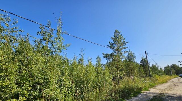 земля д Шихириха снт тер.Лисьи Борки фото