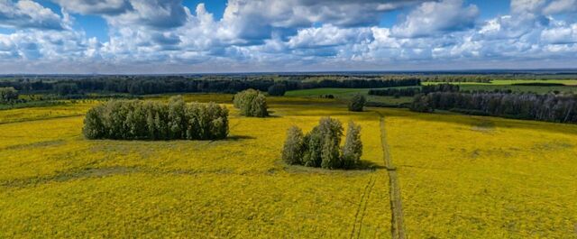 Фридом Вилладж кп фото