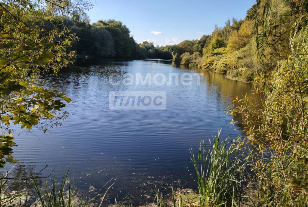 земля городской округ Ленинский д Суханово посёлок подсобного хозяйства Суханово Бутово фото 9