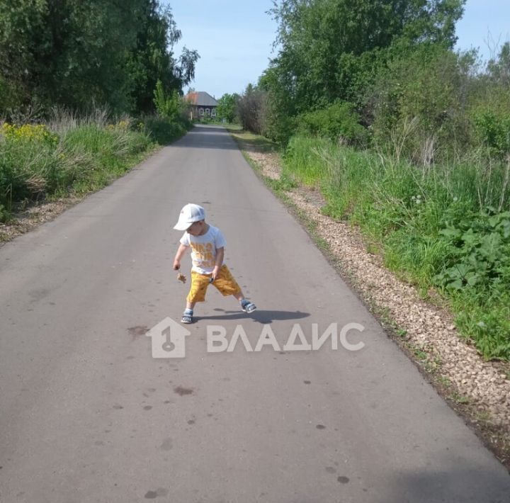 дом р-н Арзамасский с Шерстино Арзамас городской округ фото 5