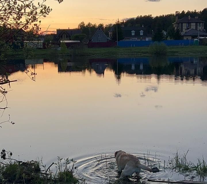 земля городской округ Черноголовка, деревня Якимово фото 8