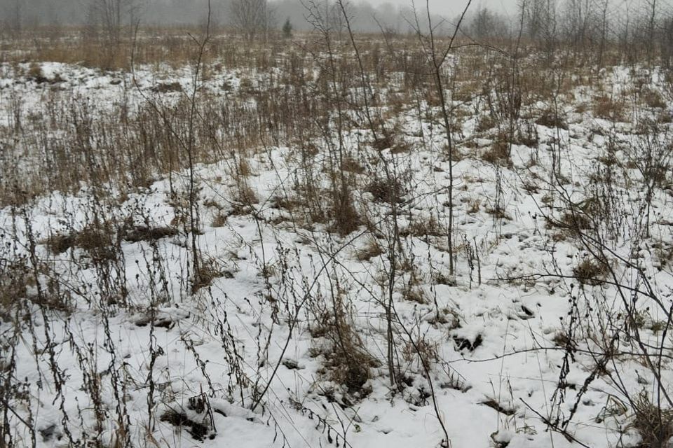 земля городской округ Волоколамский деревня Рождествено фото 2