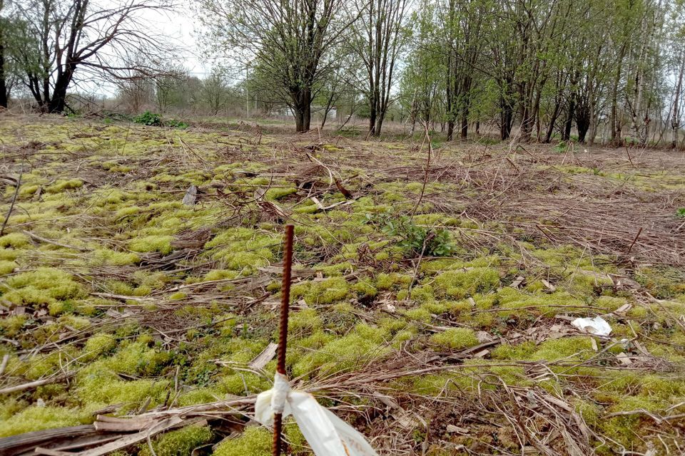 земля городской округ Клин деревня Дятлово фото 1