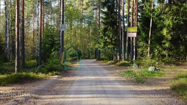 садоводческое некоммерческое товарищество Кирилловское фото