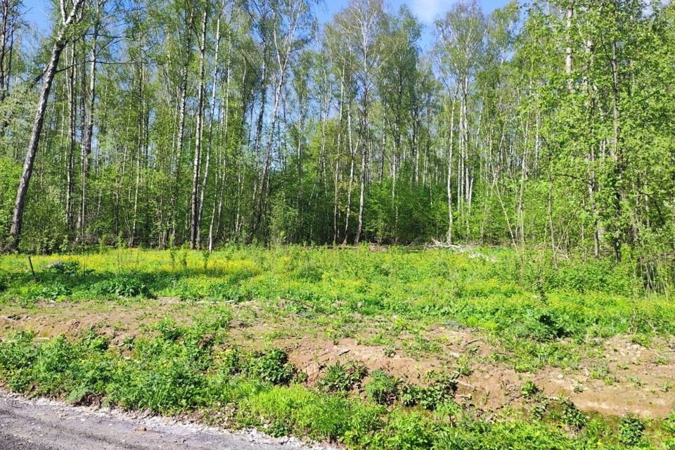 земля городской округ Наро-Фоминский фото 6