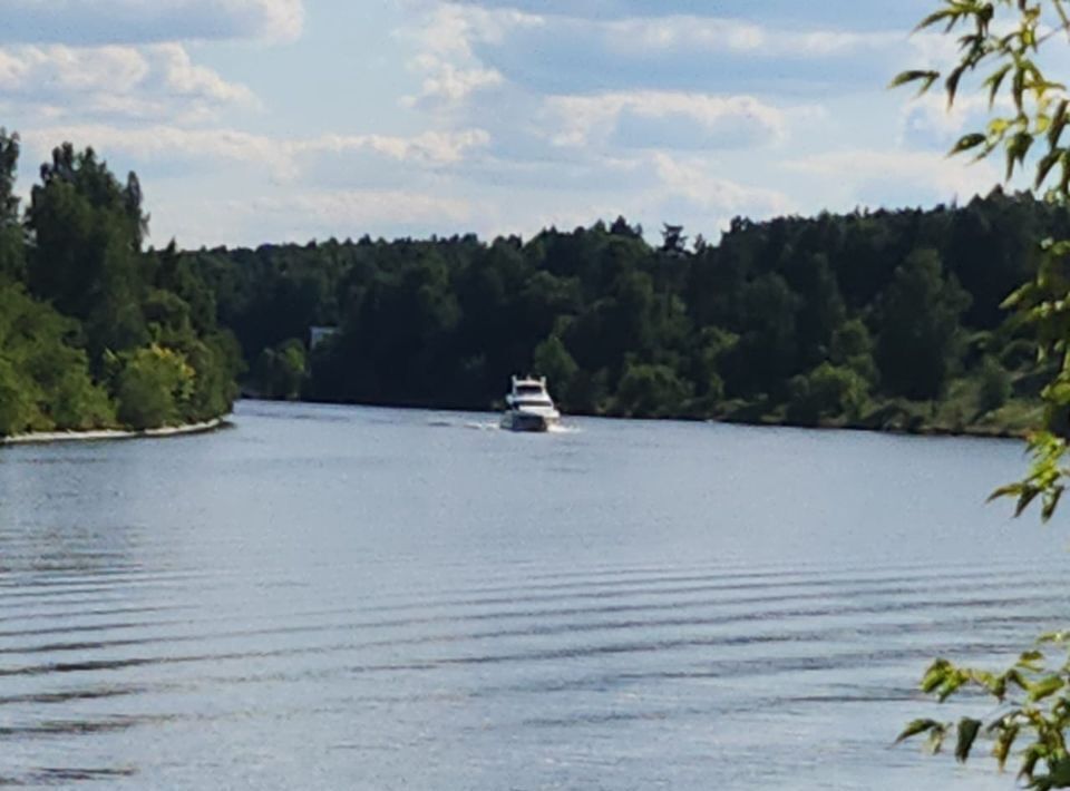 земля городской округ Мытищи д Степаньково Аврора кп, Хлебниково фото 3