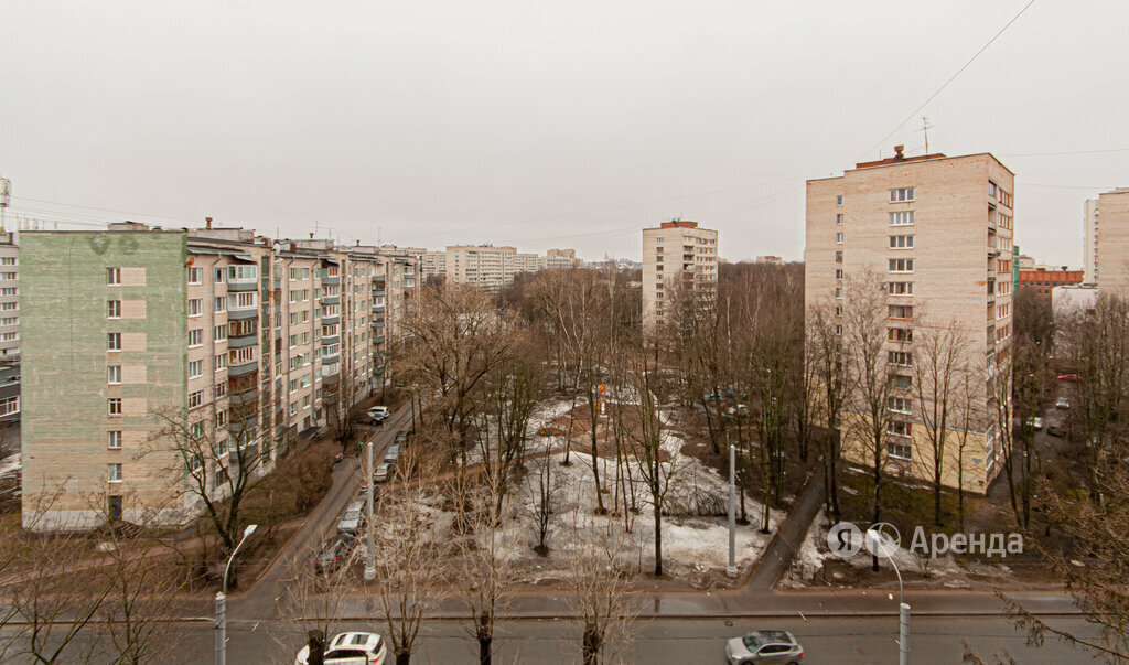 квартира г Санкт-Петербург метро Политехническая пр-кт Тореза 38к/1 фото 10