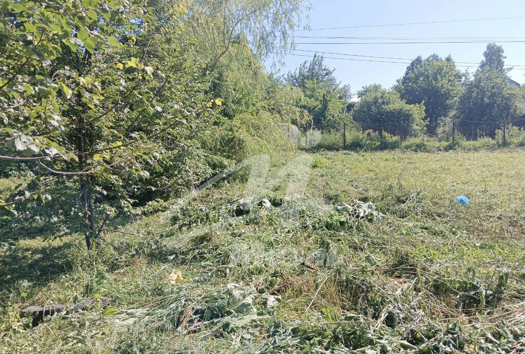 земля городской округ Лотошино д Котляково Домодедовская, 15 фото 13