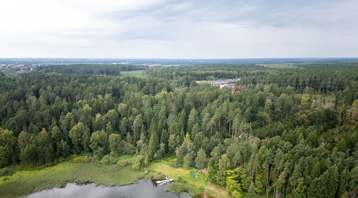 дом городской округ Солнечногорск д Полежайки аллея Удачи, 5 фото 35