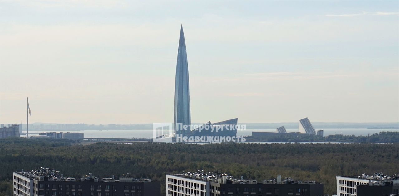 квартира г Санкт-Петербург метро Комендантский Проспект пр-кт Авиаконструкторов 69 фото 1