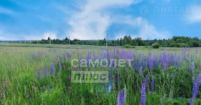 снт Сияние севера ул Урожайная 1 фото