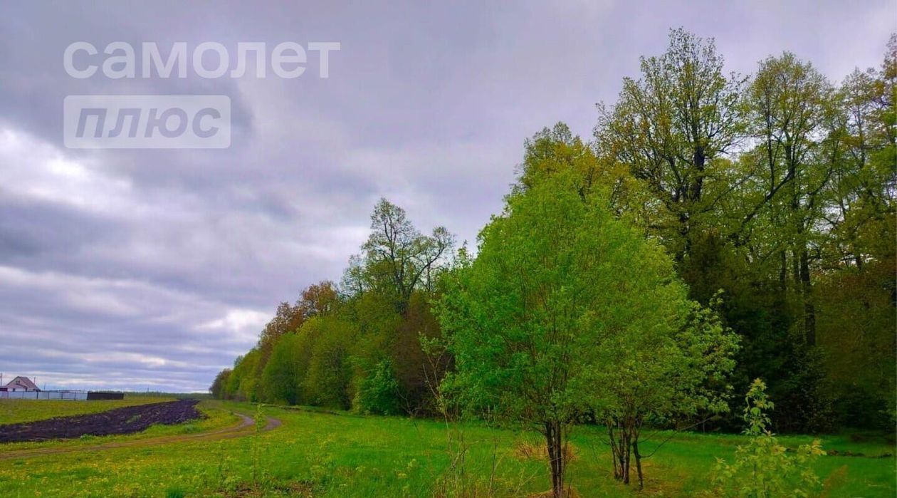 земля р-н Нижнекамский д Выгороженный Ключ ул Центральная Майскогорское с/пос фото 9