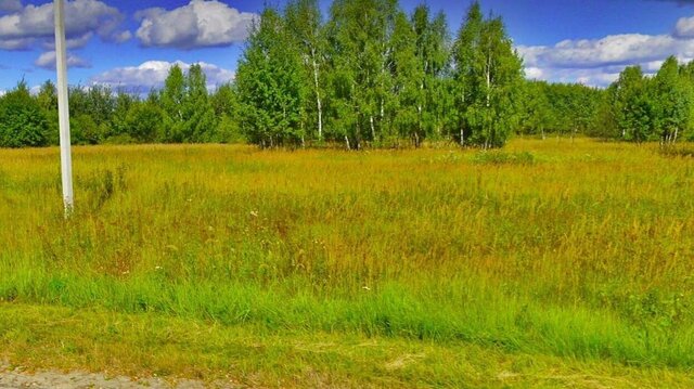 земля с Кулешово муниципальное образование, Чекалин, Юго-Восточное фото