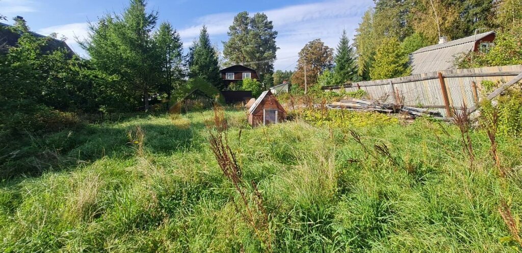 земля р-н Выборгский Рощинское городское поселение, садоводческое некоммерческое товарищество Лесовод фото 3