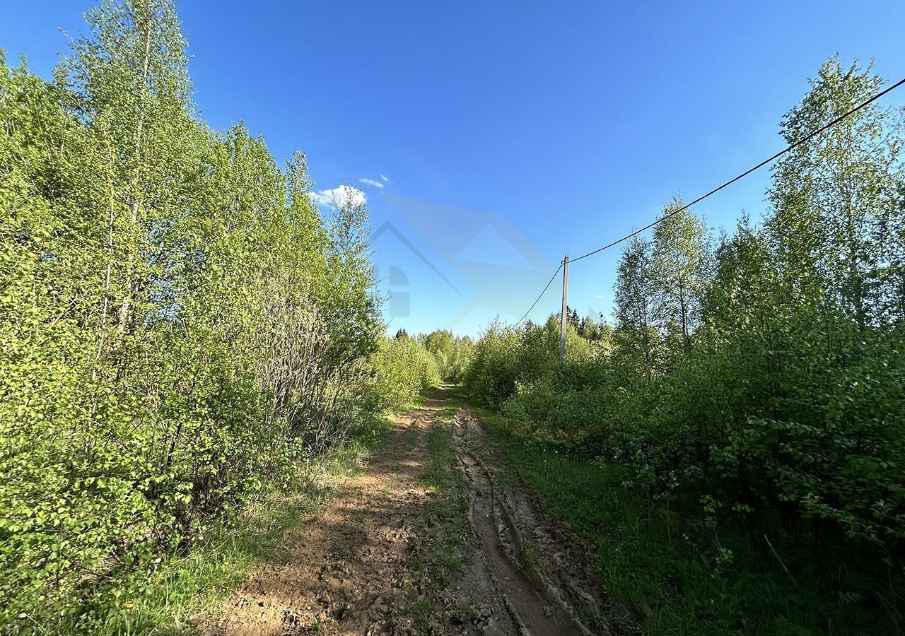 земля городской округ Дмитровский д Пески 9758 км, Солнечногорск, Рогачёвское шоссе фото 3