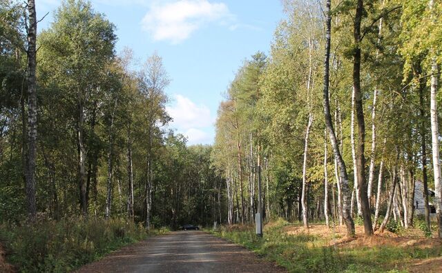 р-н кв-л дачной застройки Бризе ул Шёлковая 10 км, Красногорск, Пятницкое шоссе фото