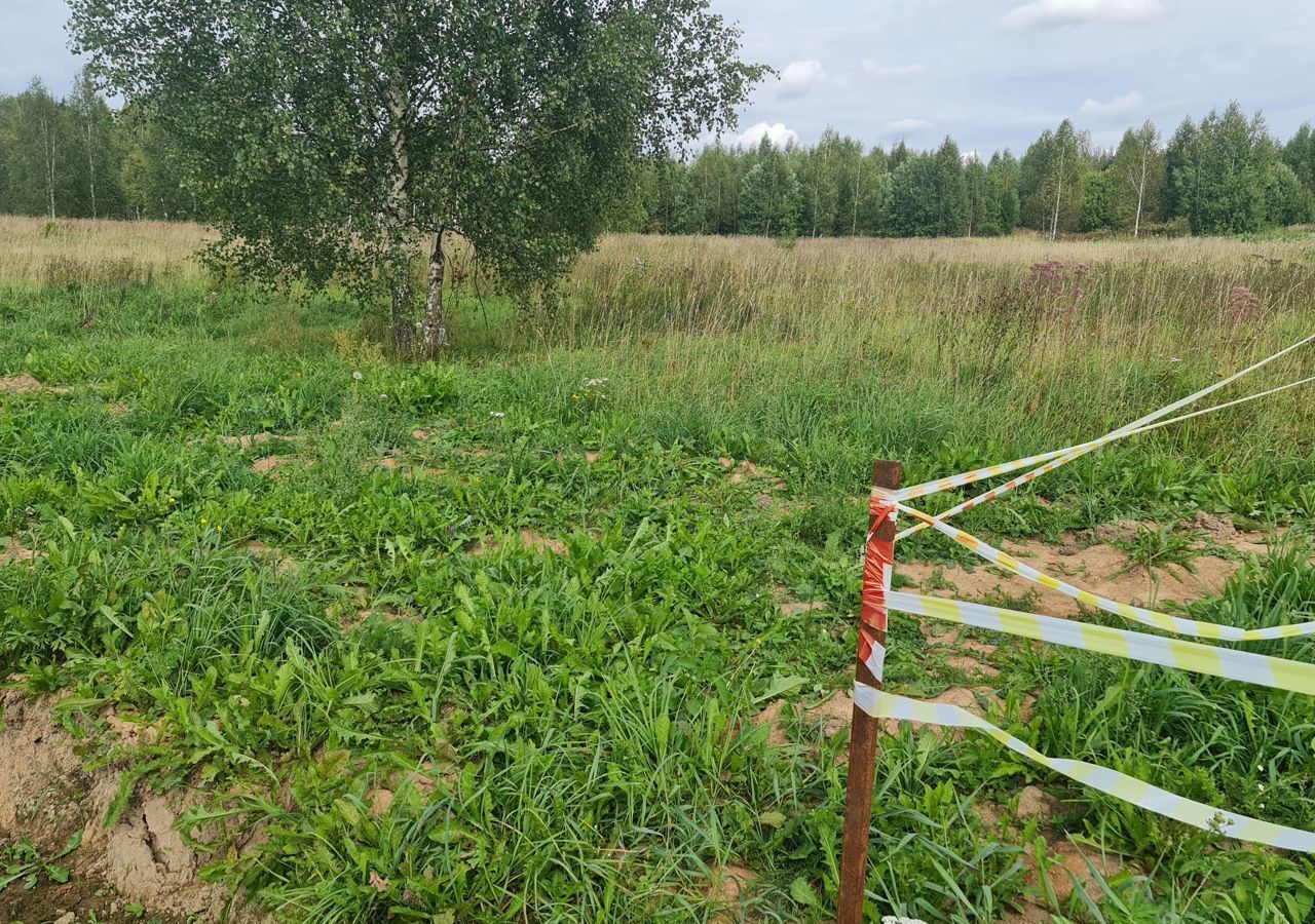 земля городской округ Сергиево-Посадский с Бужаниново 9792 км, Краснозаводск, Ярославское шоссе фото 9