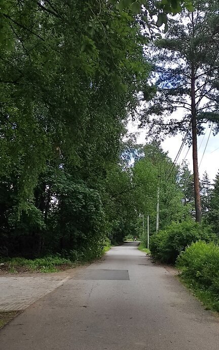 квартира г Санкт-Петербург метро Озерки р-н Шувалово ул Новоалександровская 64 фото 4