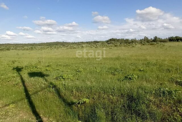 р-н Ленинский фото