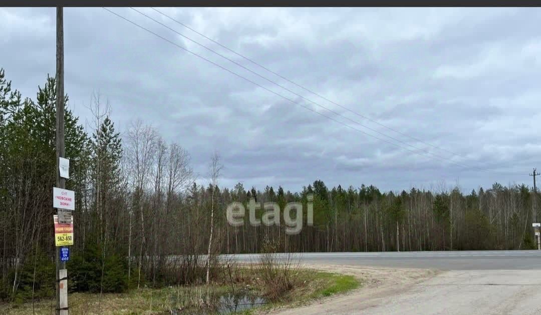 земля г Сыктывкар снт тер ЧовскоеЧовские зори Човское тер. фото 1