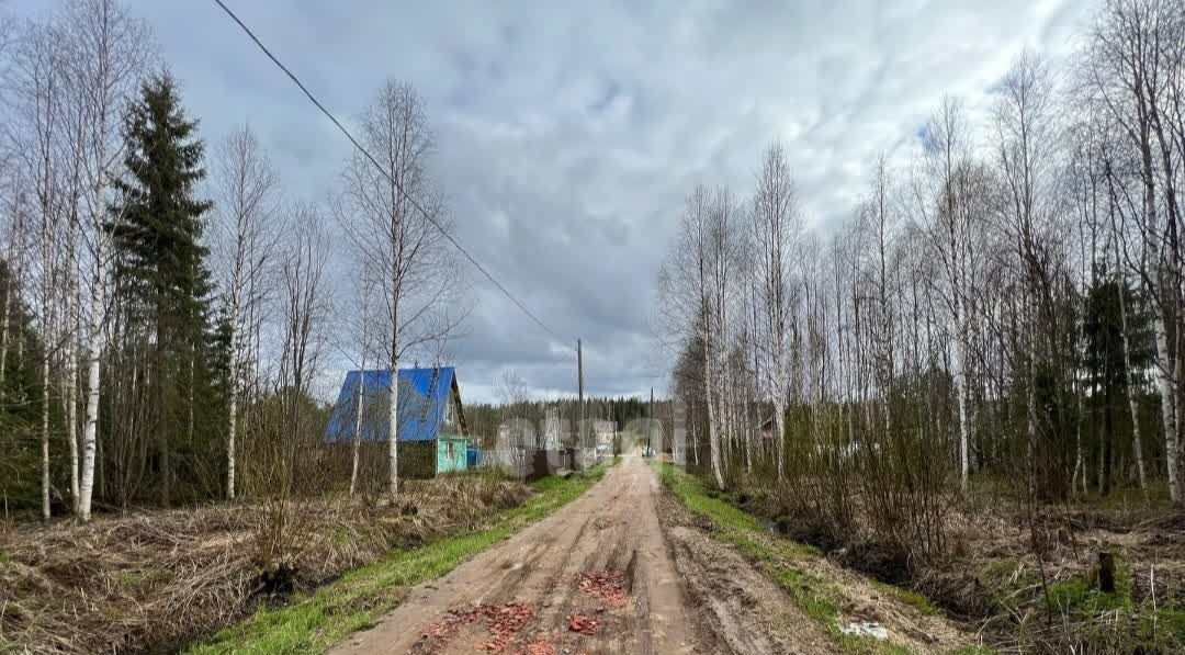 земля г Сыктывкар снт тер ЧовскоеЧовские зори Човское тер. фото 3