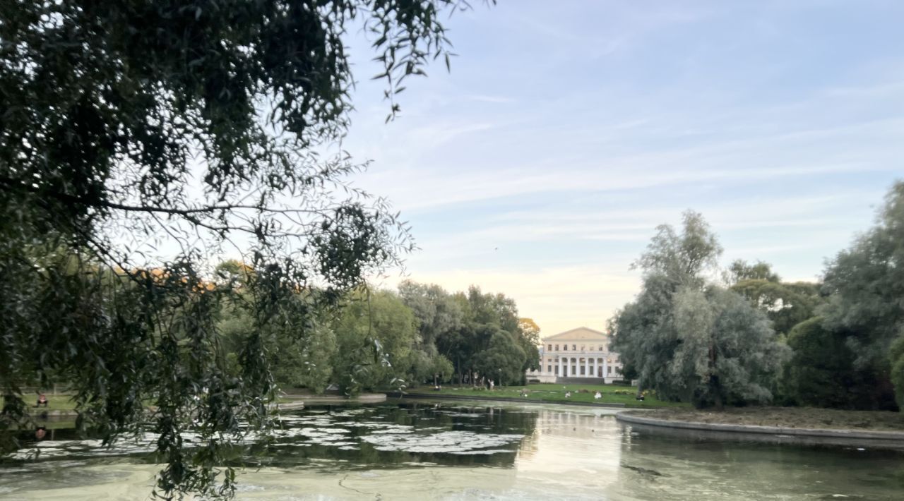 комната г Санкт-Петербург метро Садовая наб Реки Фонтанки 117в Сенной округ фото 4