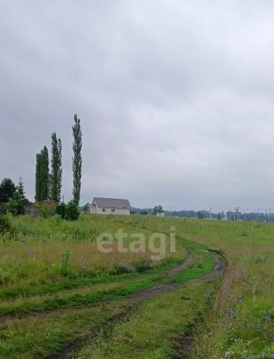 земля р-н Уфимский д Фомичево сельсовет, Булгаковский фото 4