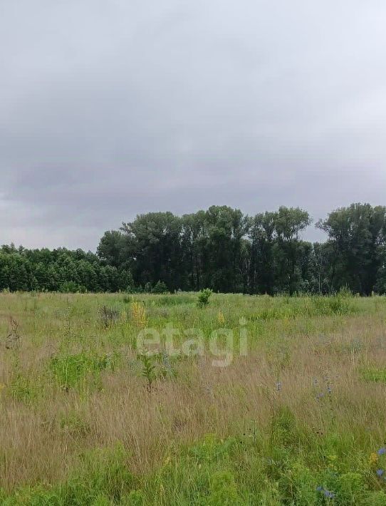 земля р-н Уфимский д Фомичево сельсовет, Булгаковский фото 7