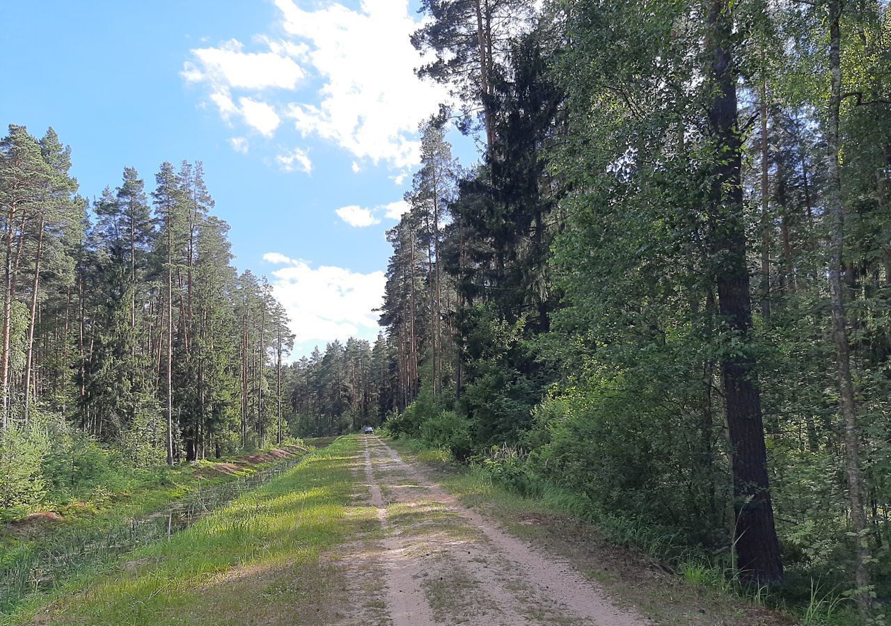 дом городской округ Павловский Посад 9455 км, Носовихинское шоссе фото 28