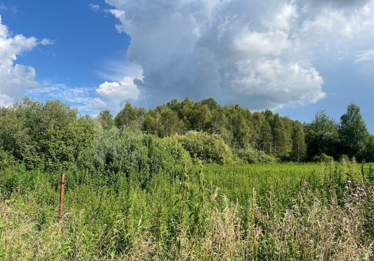 земля г Тюмень ул Приозерная СНТ Аракчино, Нижнетавдинский р-н фото 2